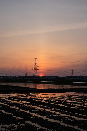 晩春落陽