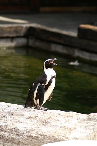 神戸花鳥園にて