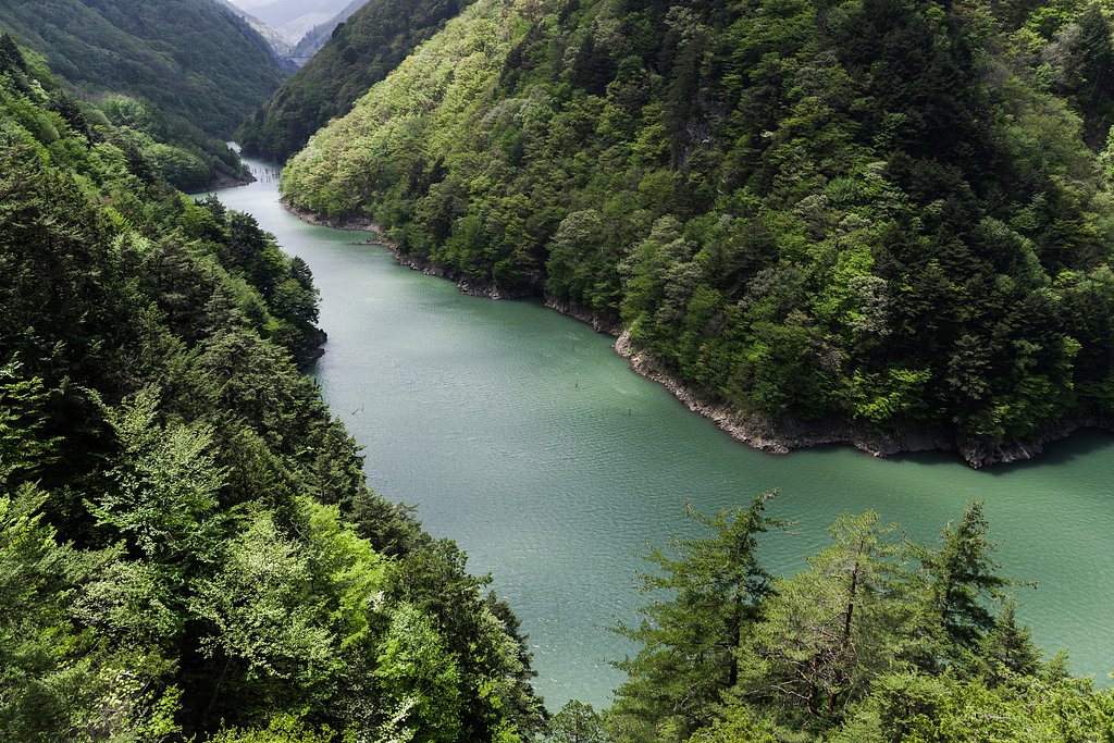 Green・Green・Green