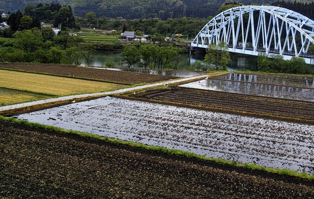雨の西会津