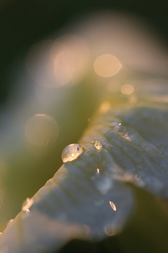手持ちじゃ無理