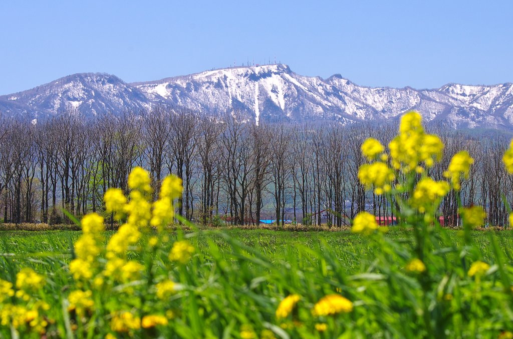 手稲山