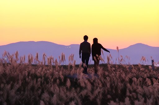 夕日を見ての帰り道