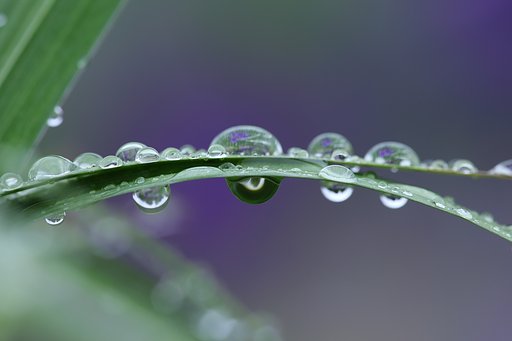 水滴