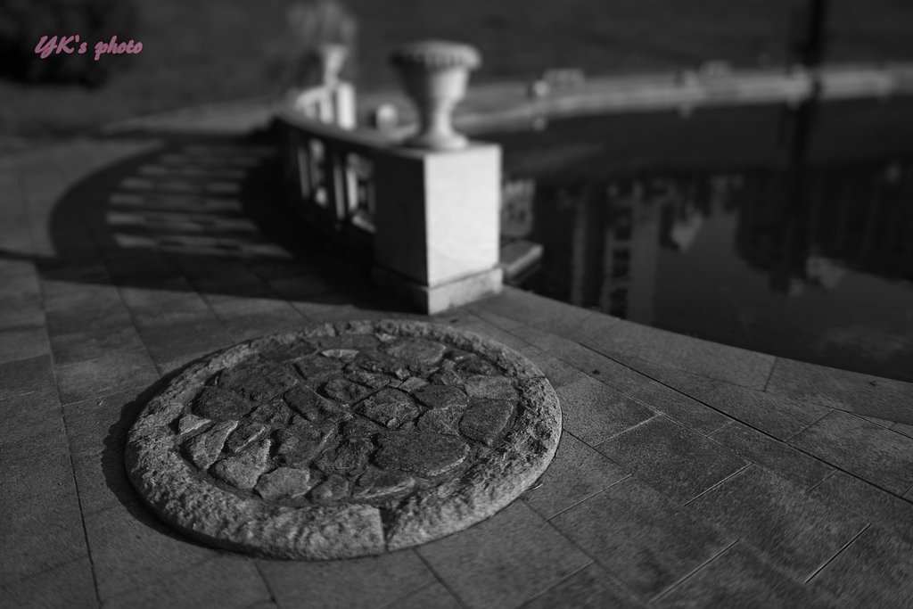 SAMYANG T-S24mm F3.5 