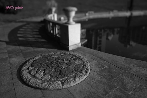 SAMYANG T-S24mm F3.5 
