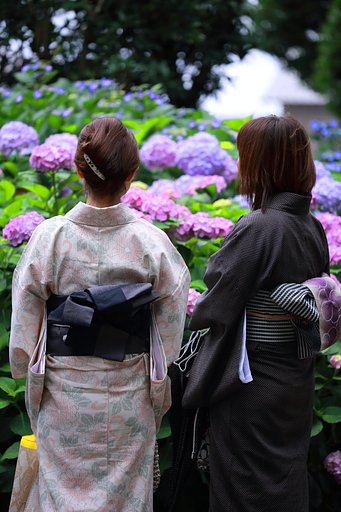 あじさい寺にて