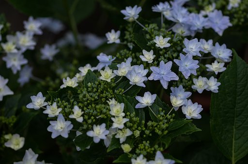 火花