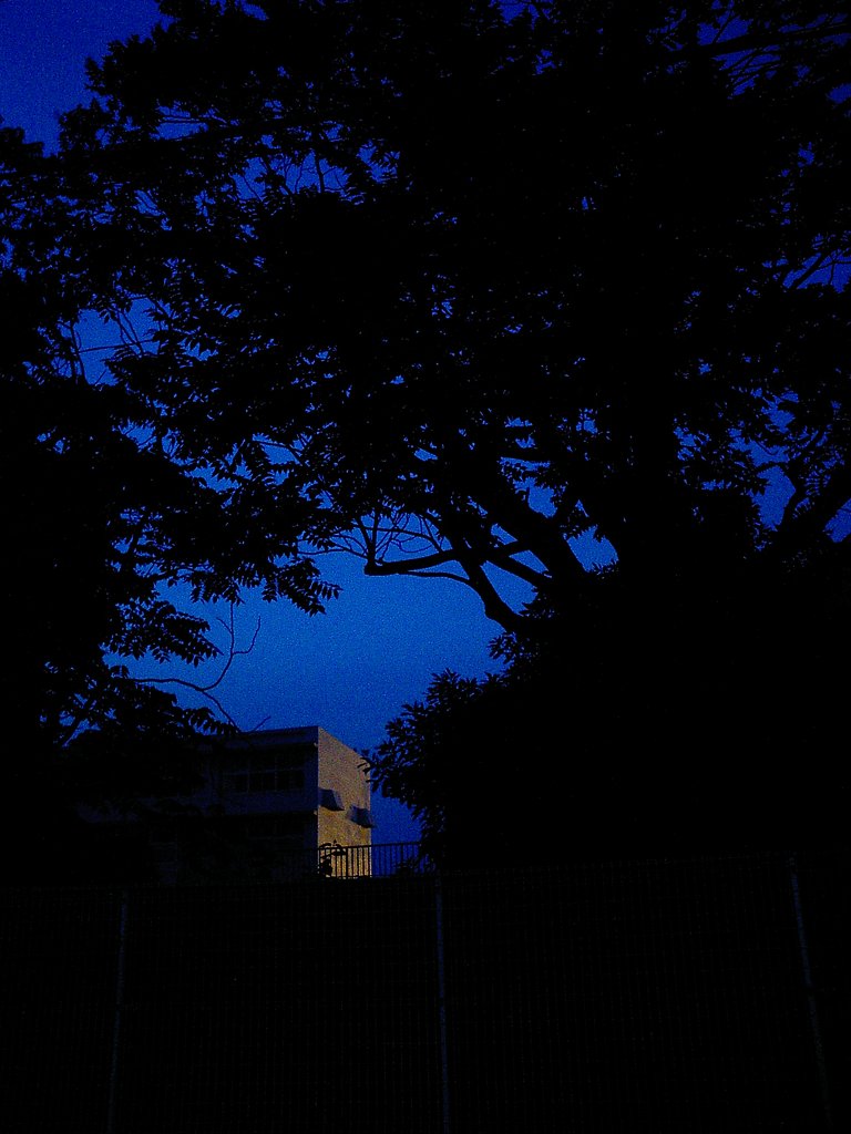 【光】夕陽