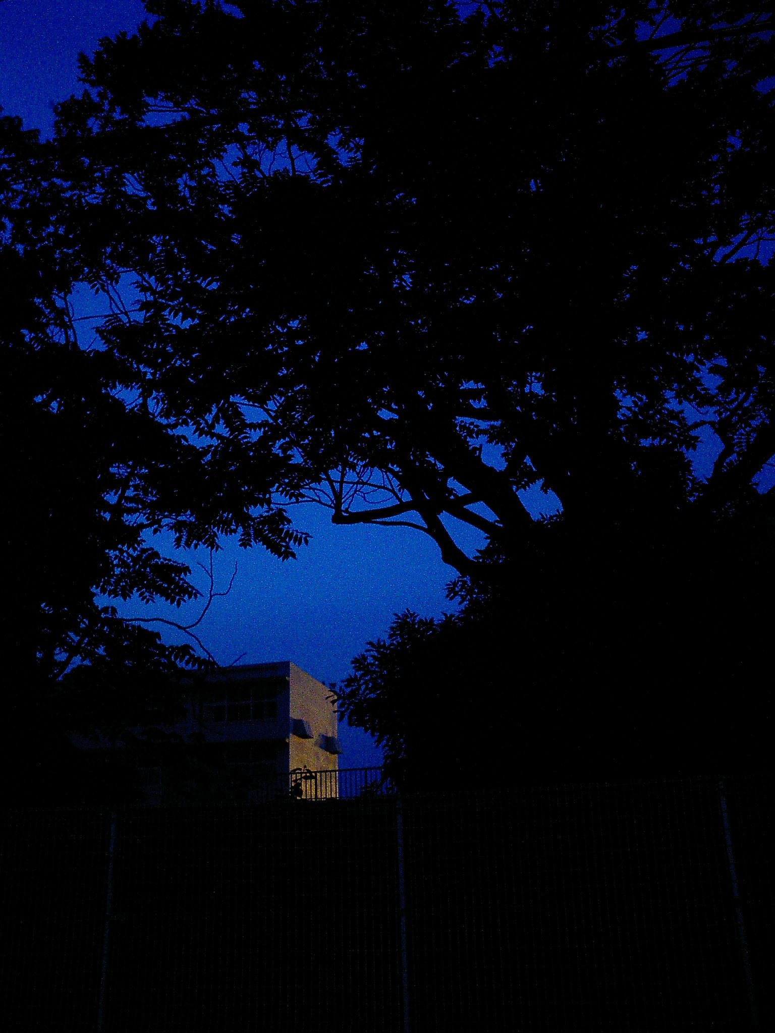 【光】夕陽