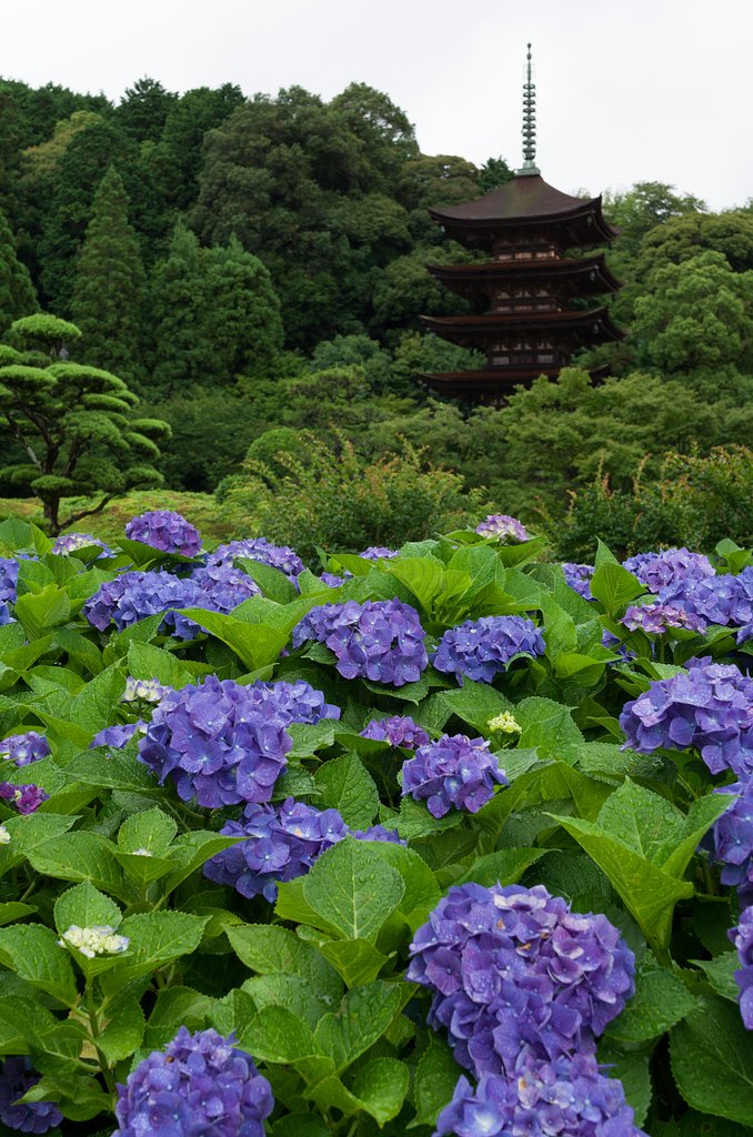 五重塔