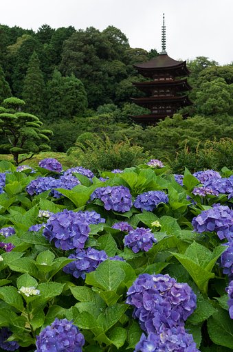 五重塔