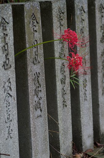 金十円