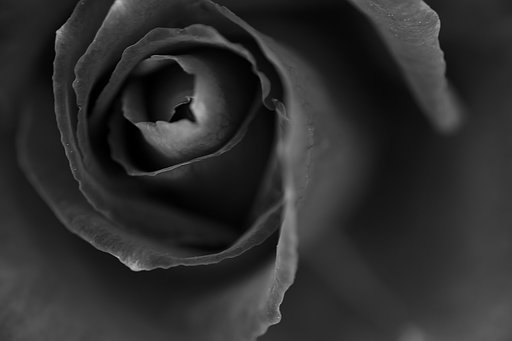 5月13日の写真
