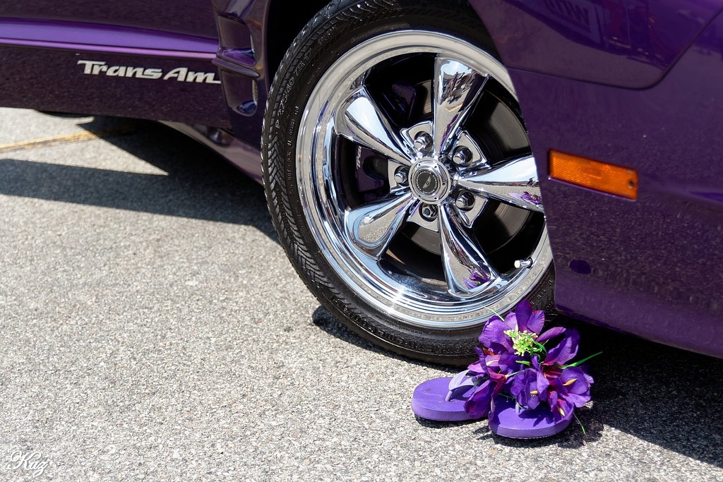 【Purple】 Trans Am