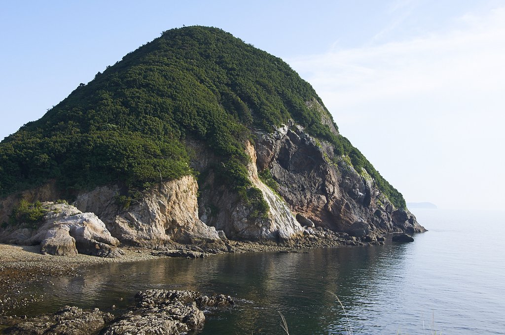 原生林の島