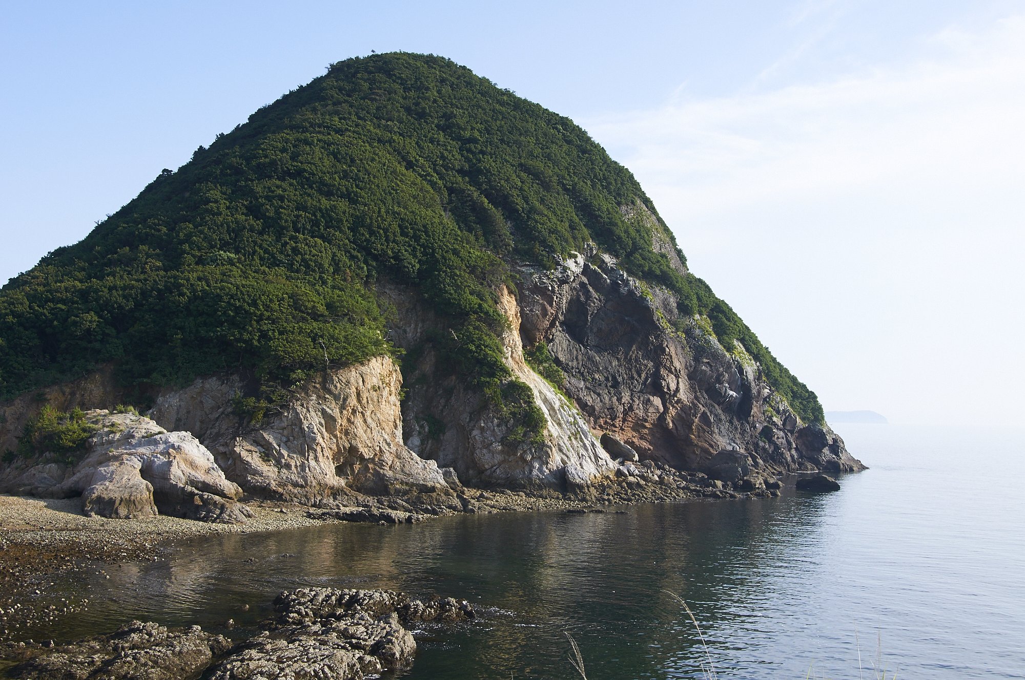 原生林の島