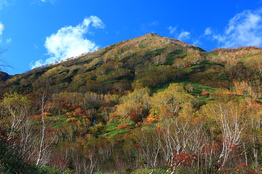 山はもう秋色