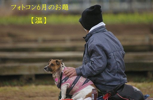 ６月フォトコンへのお誘い