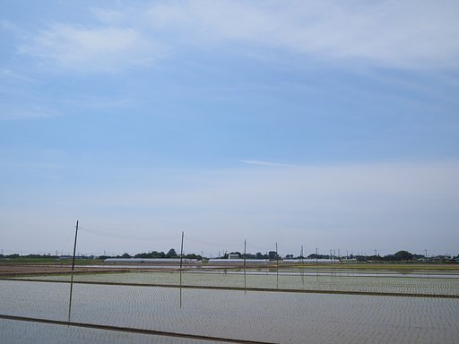 水が育む、この星で