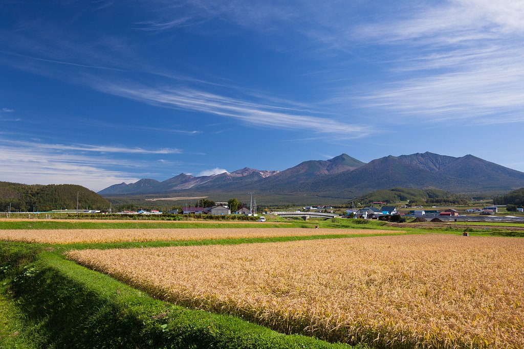 十勝連峰とゆめぴりか