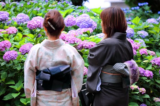 あじさい寺にて Ⅱ