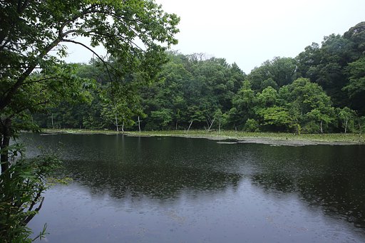 曇りのち 雨もよう