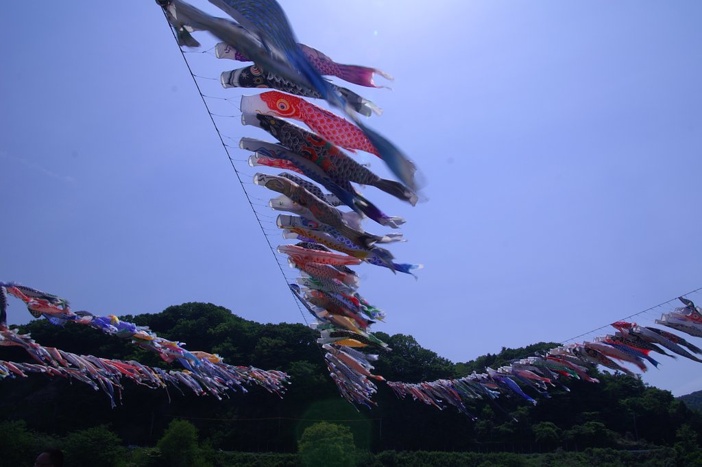 こどもの日。