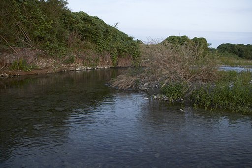 土器川