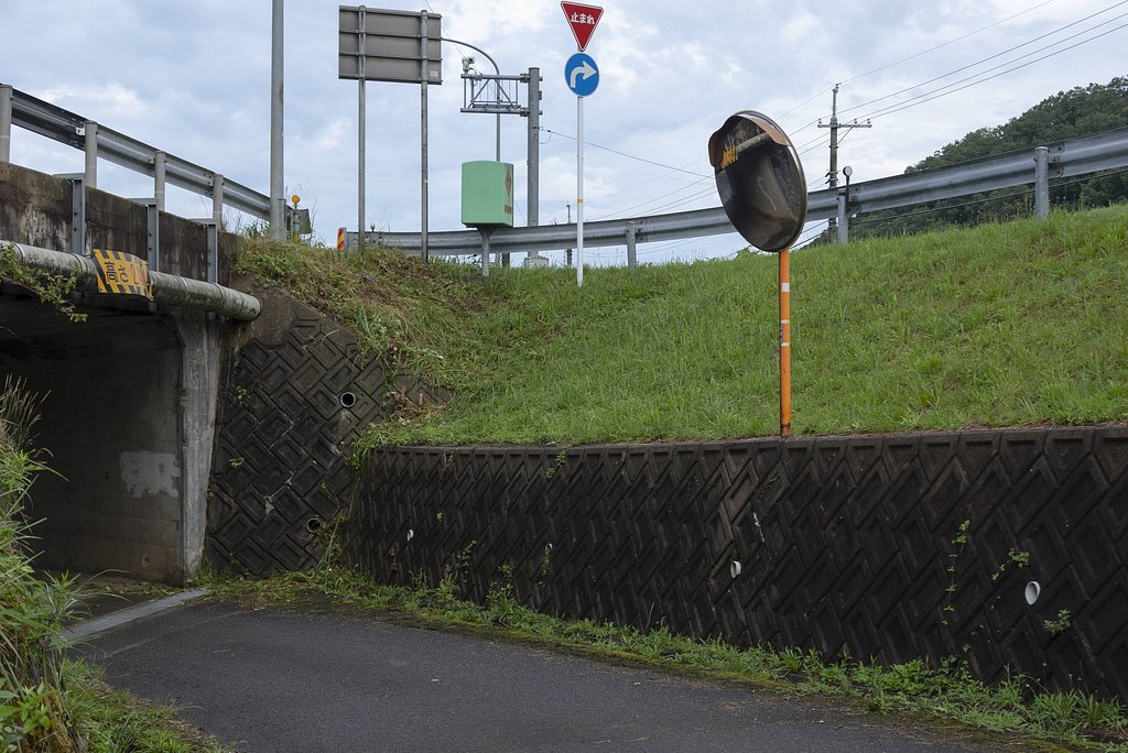路肩の雑木刈り。