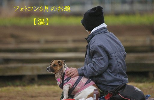 6月のお題発表