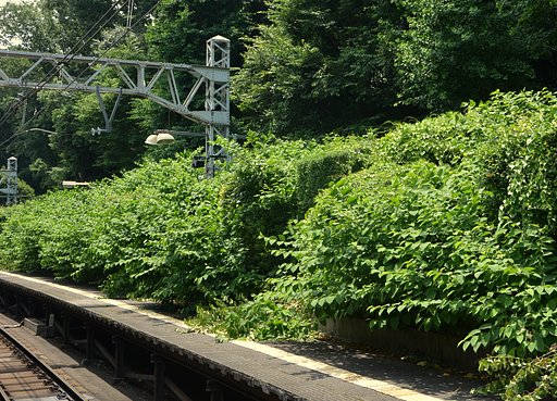 山手線原宿駅ホーム