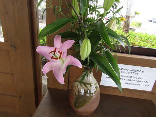 ８８番目のお遍路の休息所＆生け花