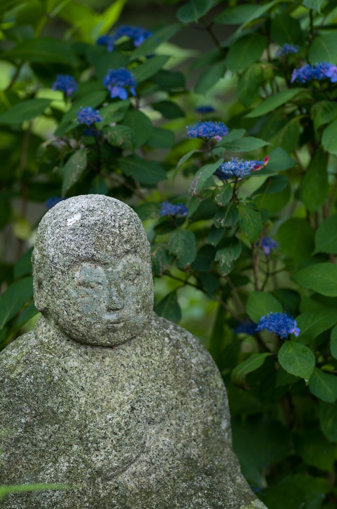 SIGMA MACRO 70mm F2.8