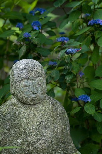 SIGMA MACRO 70mm F2.8