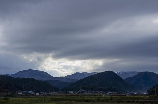 冬！