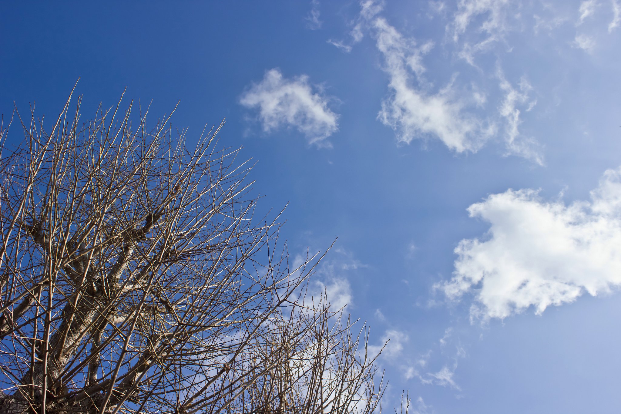 冬空