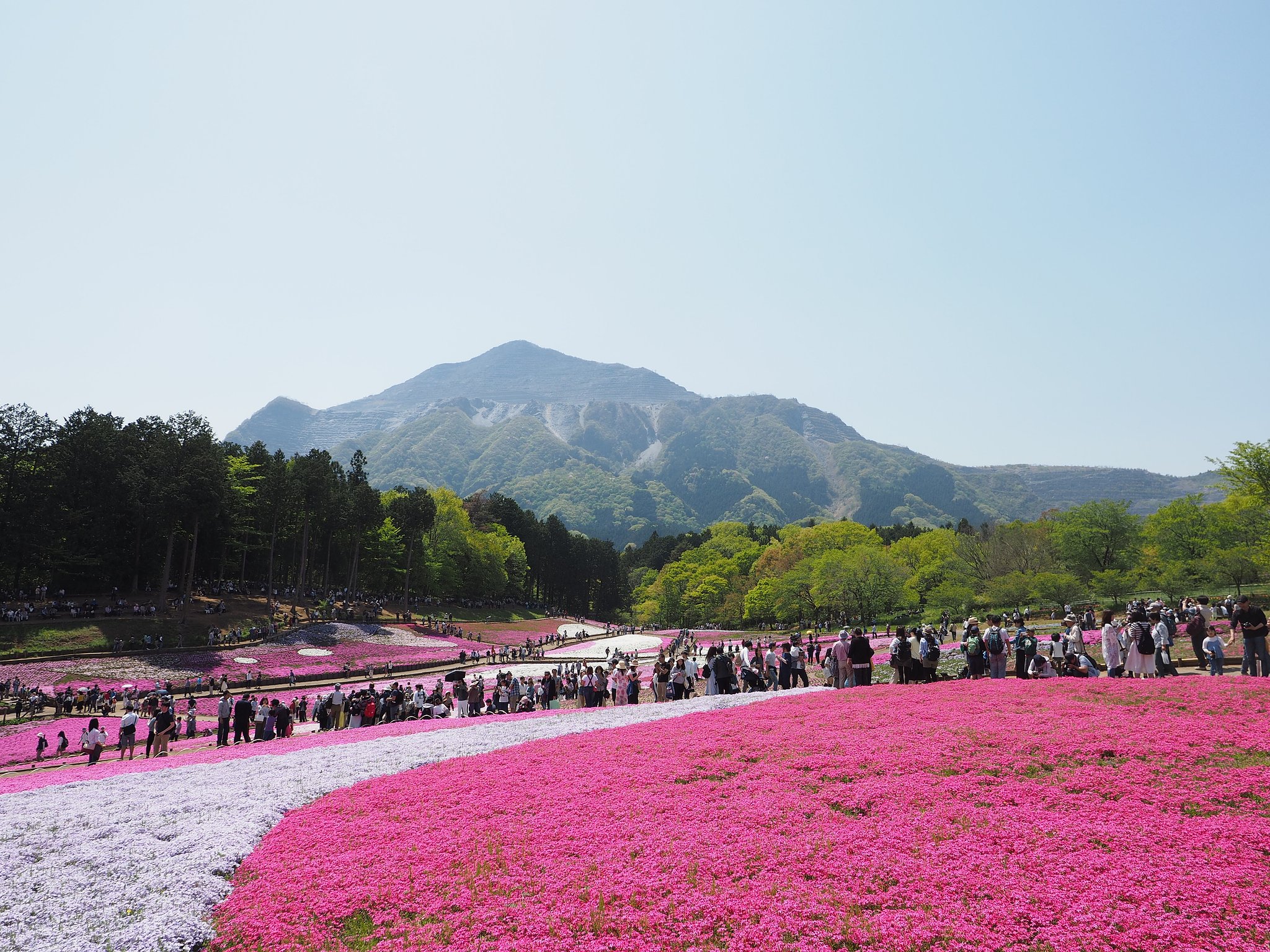 人波のステッチ
