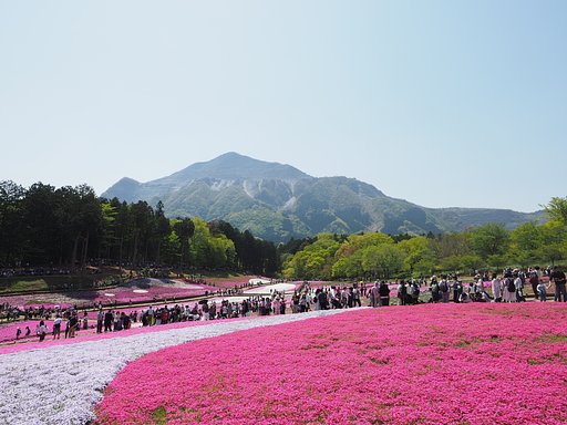 人波のステッチ