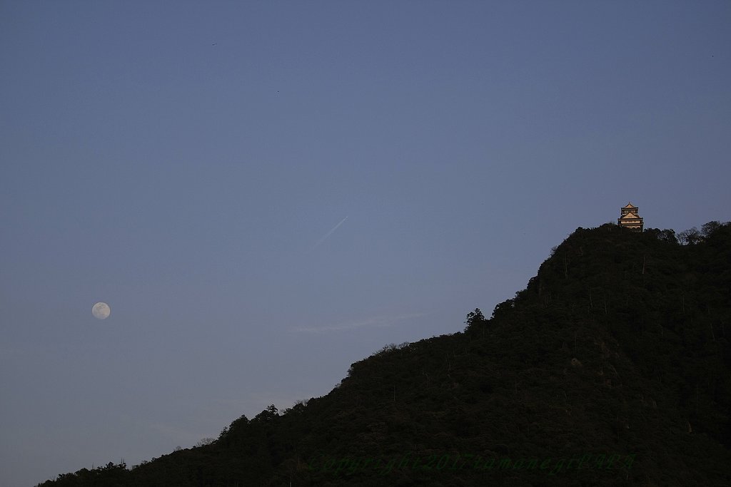 金華山