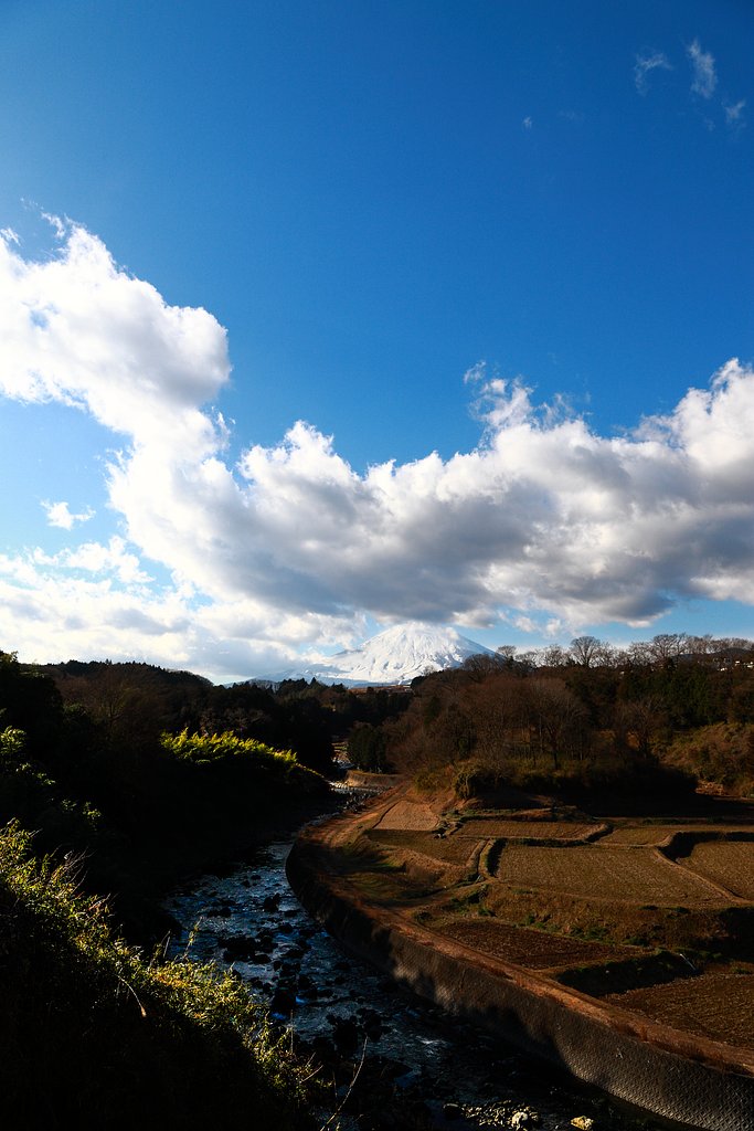 小山町馬伏川２０１７ライトルーム