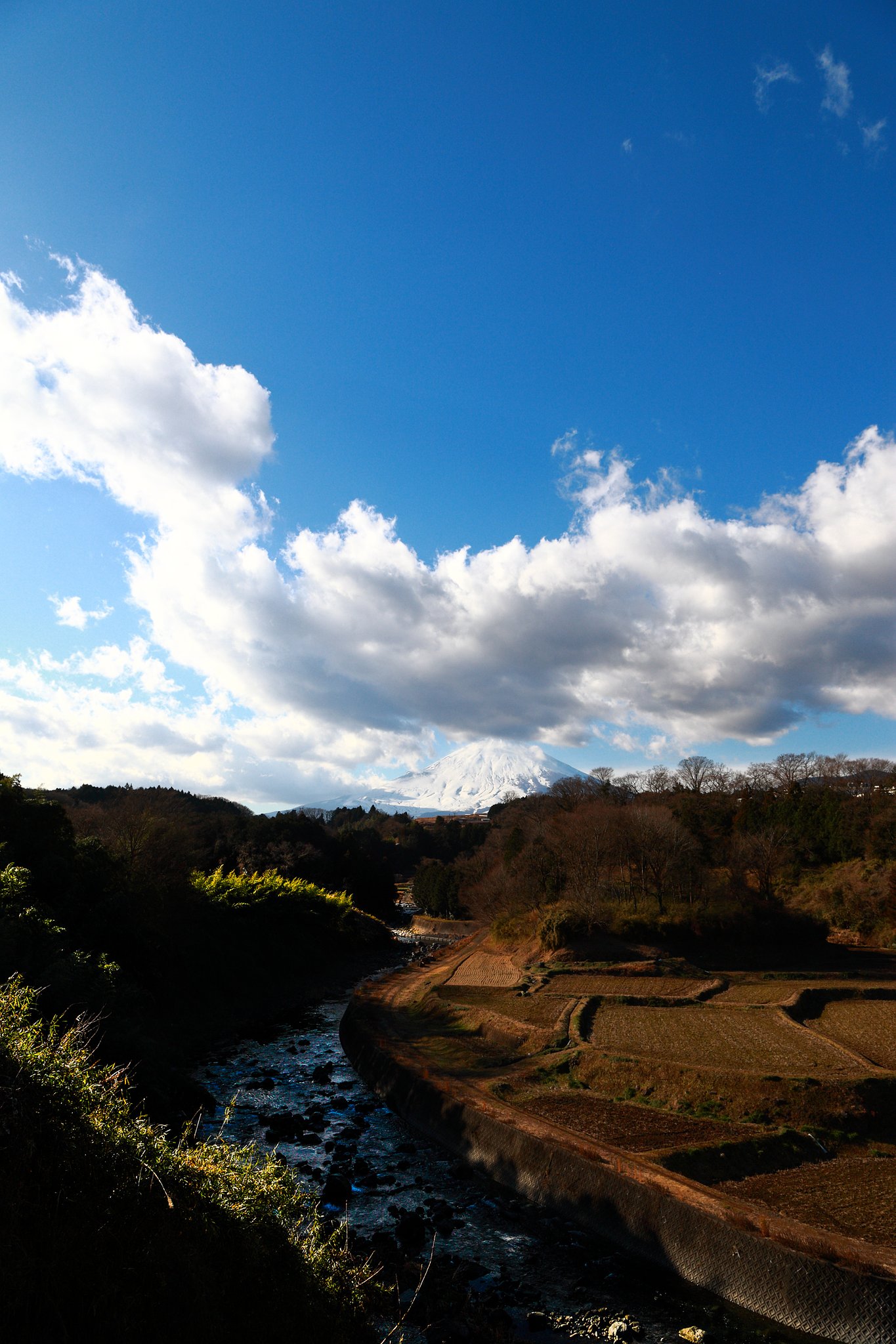小山町馬伏川２０１７ライトルーム