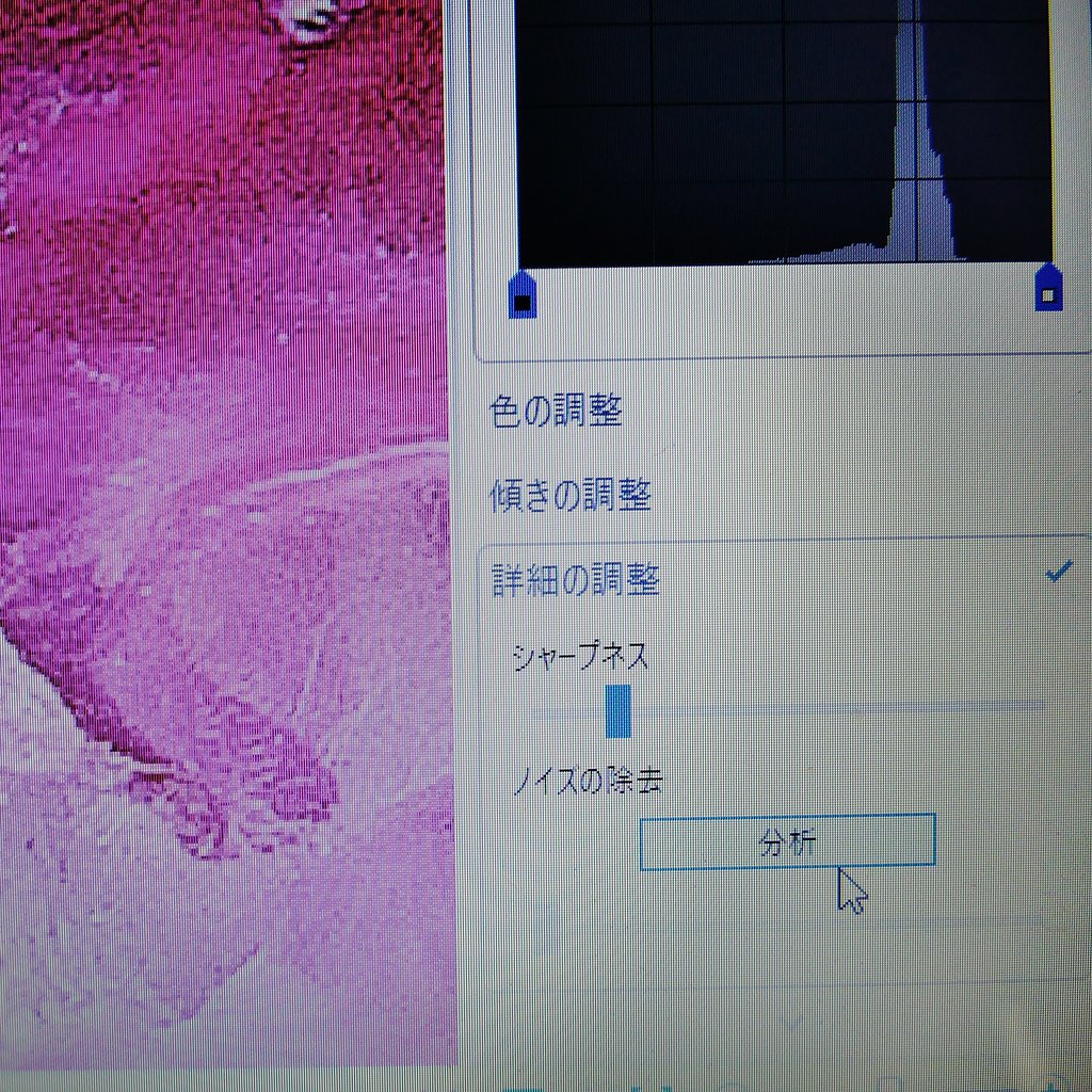 フォトギャラリー２