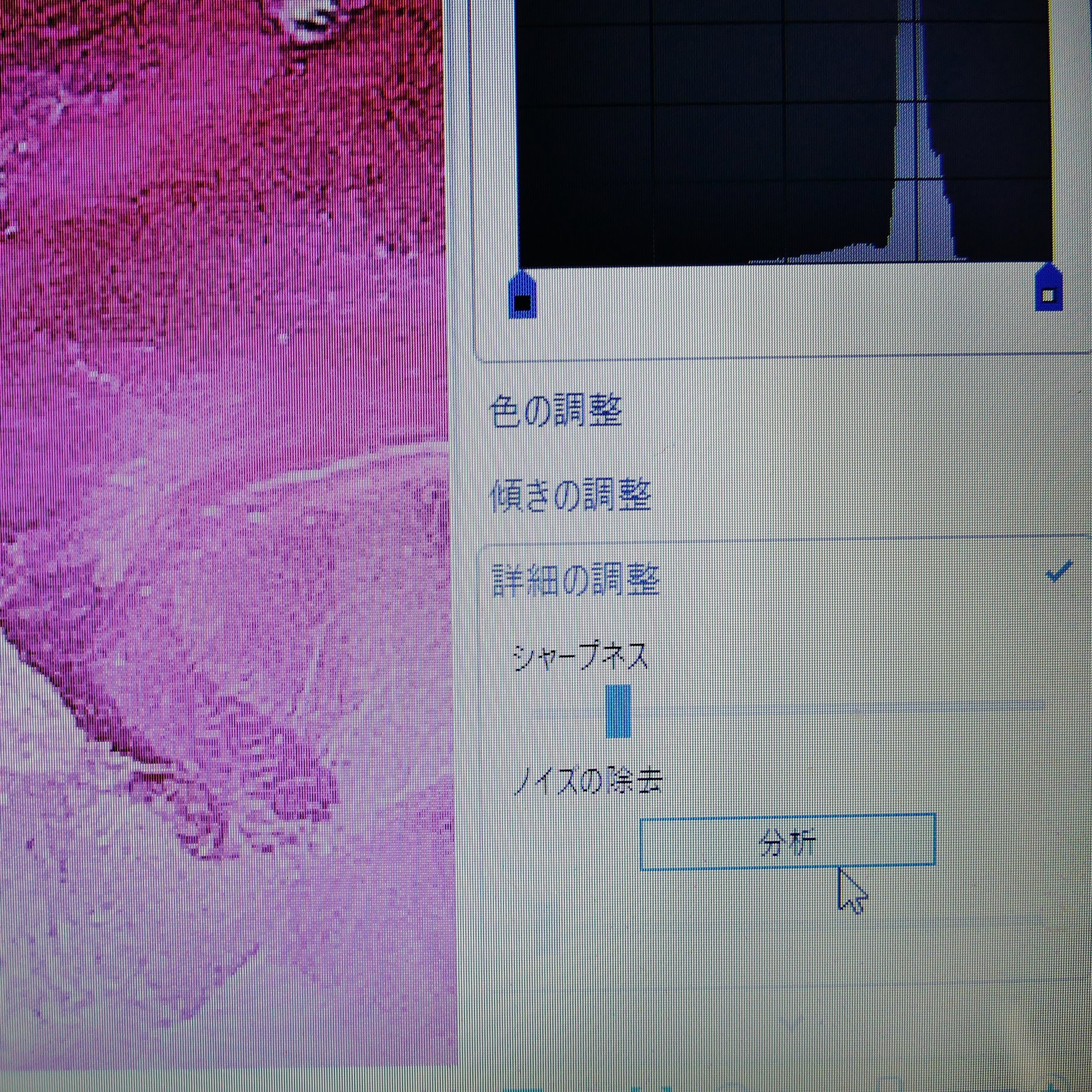 フォトギャラリー２