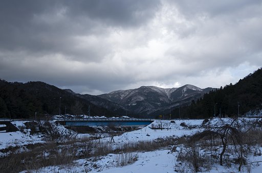 冬の朝-2。
