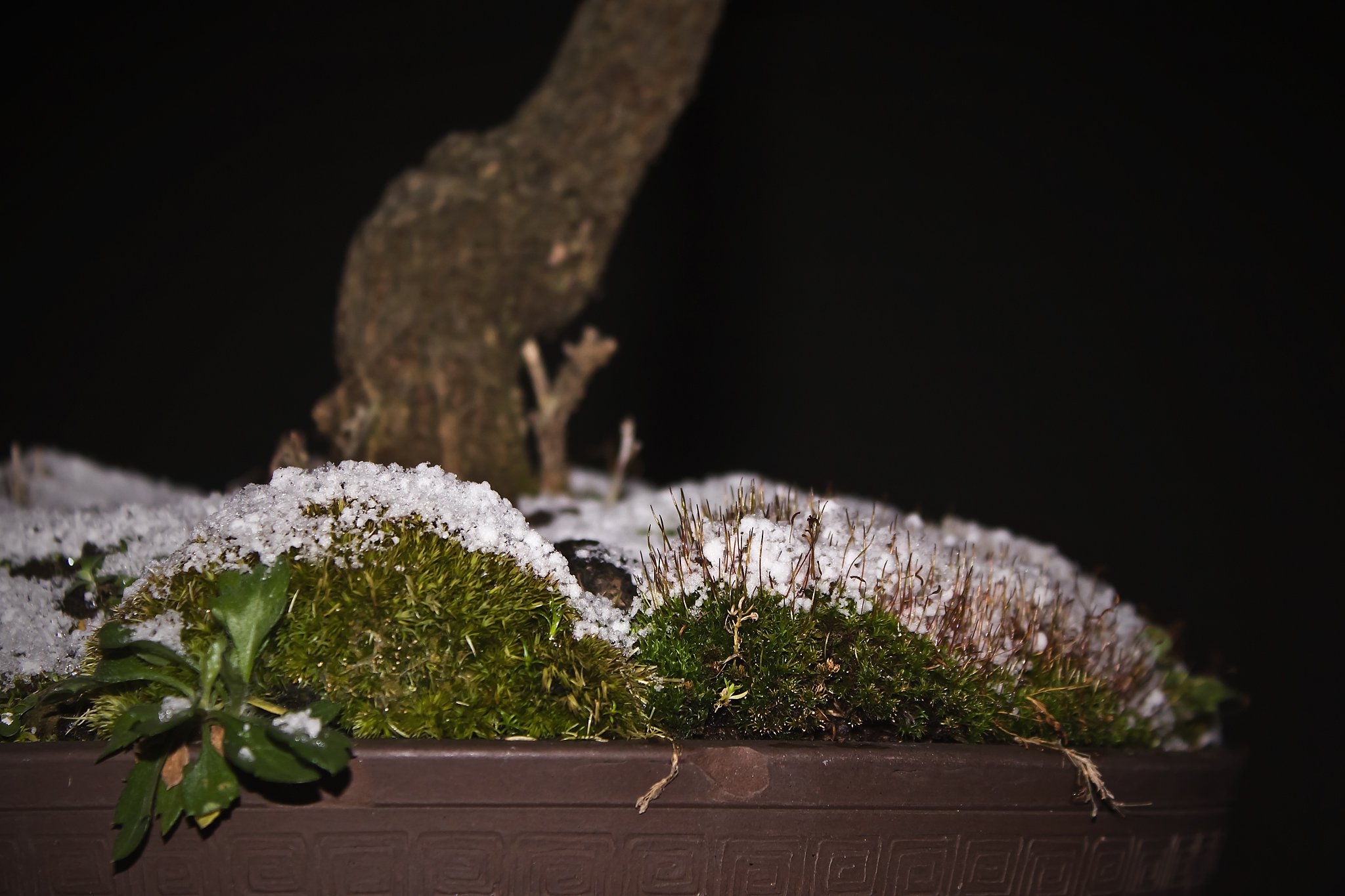 雪模様