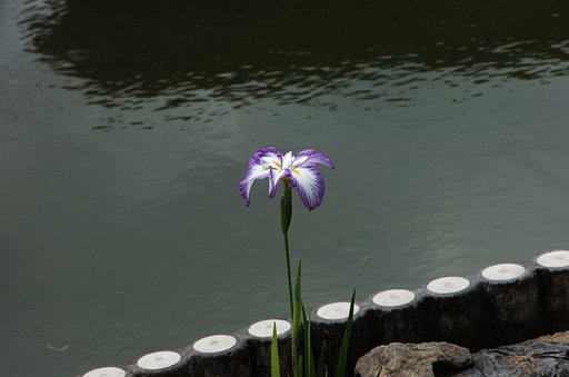 テスト