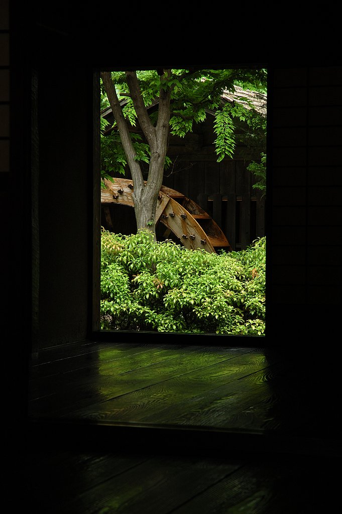 【光】向こうの緑