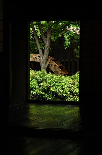 【光】向こうの緑
