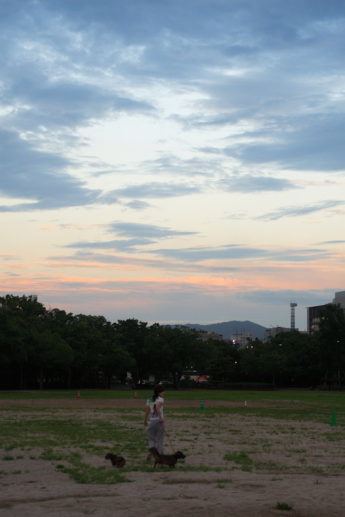 夏の夕焼け雲